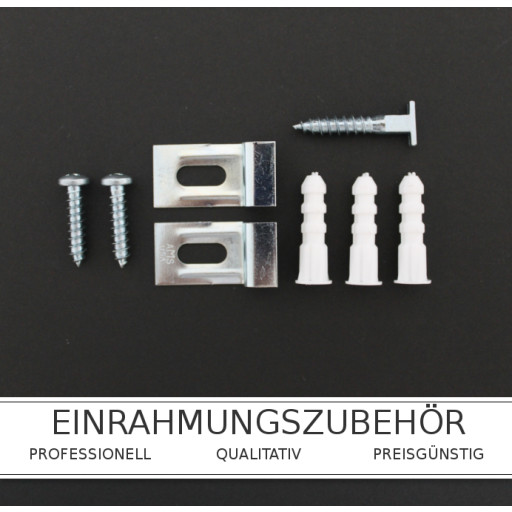 Diebstahlsicherung für Alurahmen