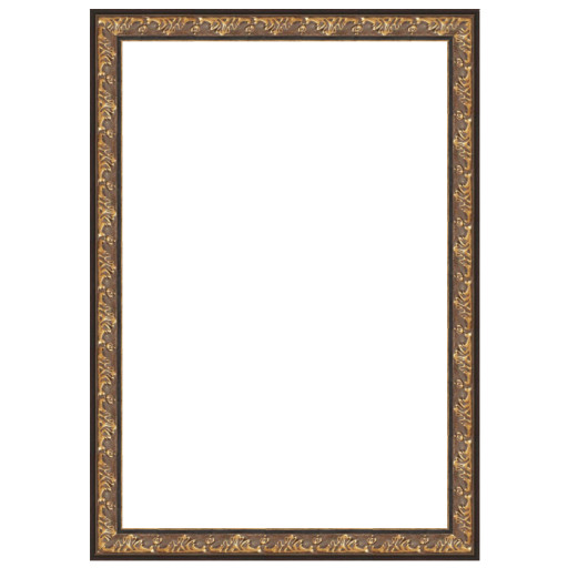 Barockrahmen Adria Altgold 50,0 x 50,0cm L