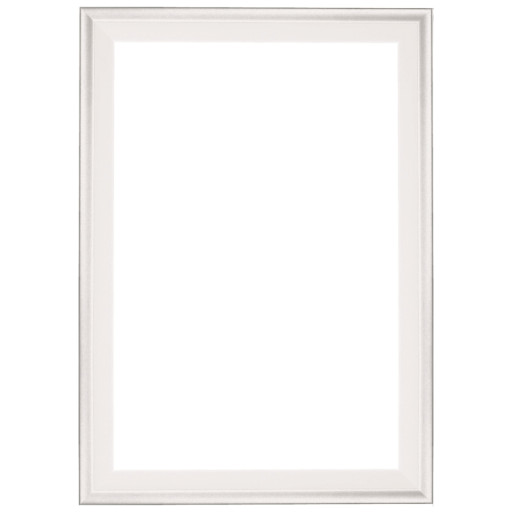 Alu Bilderrahmen ALU11 Silber 50 x 60 cm Leerrahmen