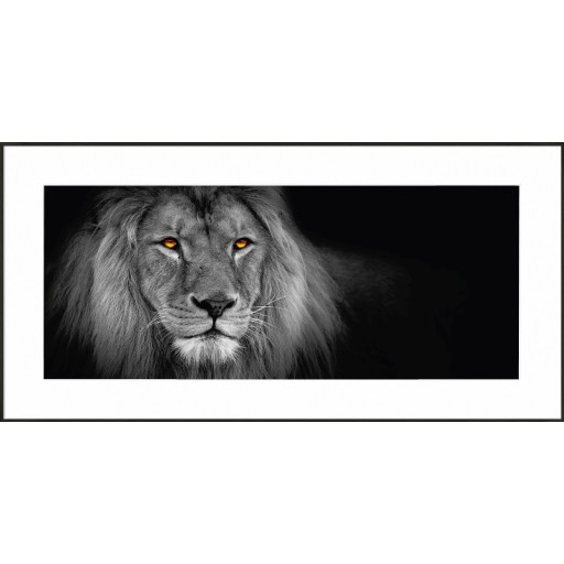 Nielsen Gerahmtes Bild „Lion“ 100,0 x 50,0 cm