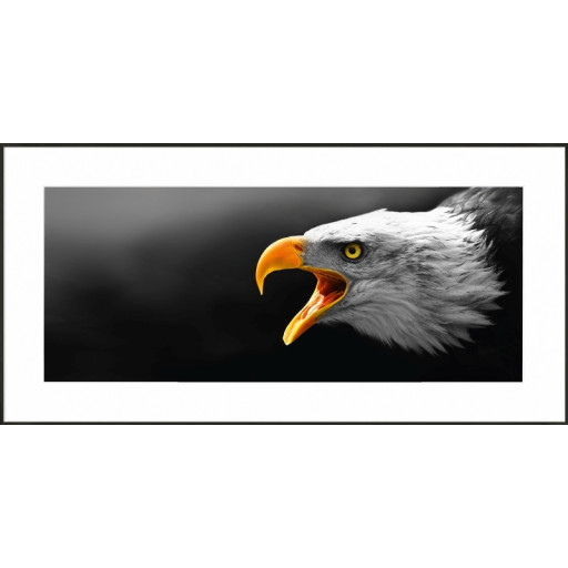 Nielsen Gerahmtes Bild „Eagle“ 100,0 x 50,0 cm