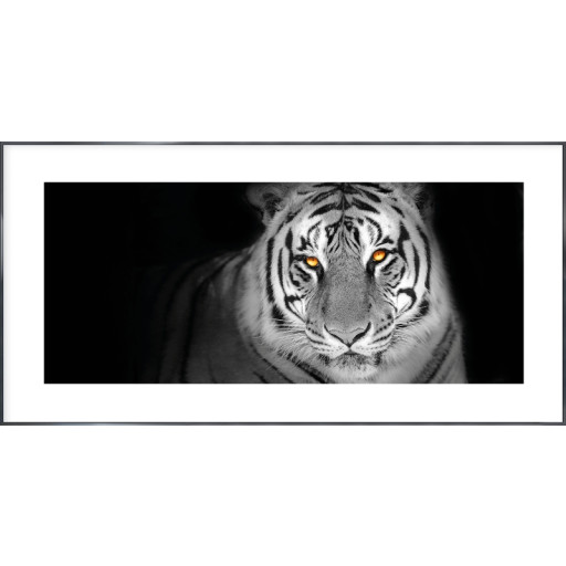 Nielsen Gerahmtes Bild „Tiger“ 100,0 x 50,0 cm