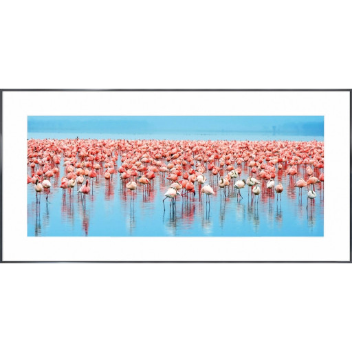 Nielsen Gerahmtes Bild „Flamingos“ 100,0 x 50,0 cm