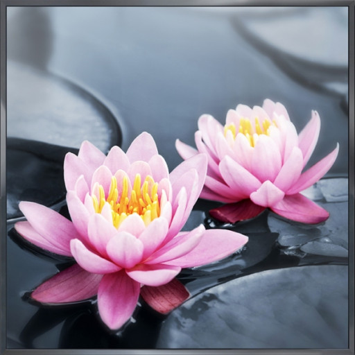 Nielsen Gerahmtes Bild „Wasser Blumen“ 30,0 x 30,0 cm