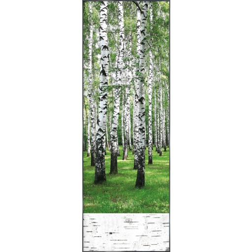 Nielsen Gerahmtes Bild „Birkenwald“ 52,0 x 150,0 cm