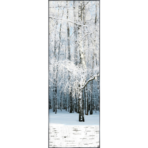 Nielsen Gerahmtes Bild „Birkenwald Schnee“ 52,0 x 150,0 cm