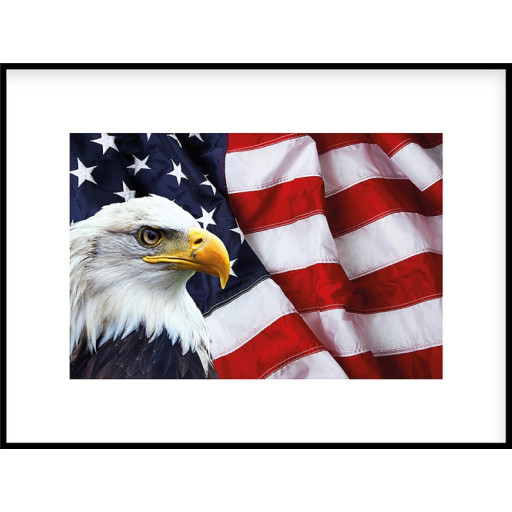 Nielsen Gerahmtes Bild „Adler USA“ 80,0 x 60,0 cm
