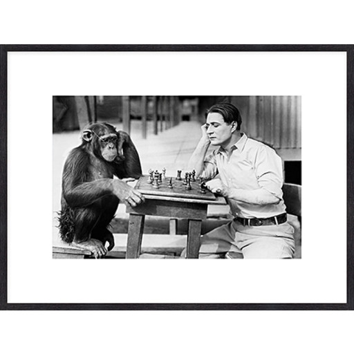 Nielsen Gerahmtes Bild „Schach mit einem Affen“ 80,0 x 60,0 cm