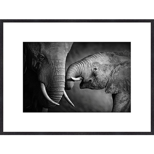 Nielsen Gerahmtes Bild „Elefant Baby“ 80,0 x 60,0 cm