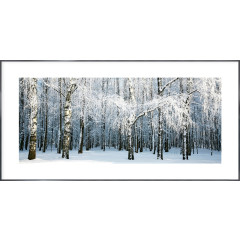 Nielsen Gerahmtes Bild „Birkenwald Schnee“ 100,0 x 50,0 cm